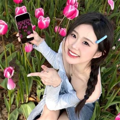 交错卢森堡